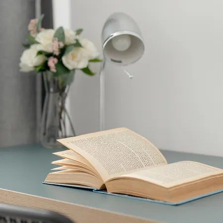 Eleganckie I Stylowe Niedaleko Rynku W Poznaniu By Renters Posen